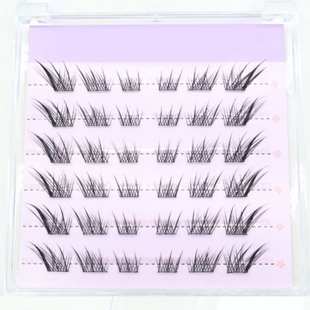 ขนตาปลอมแบบ 3 มิติ ลายแคทอาย ต - Eyelash Extension Fox Eye บทวิจารณ์และราคา