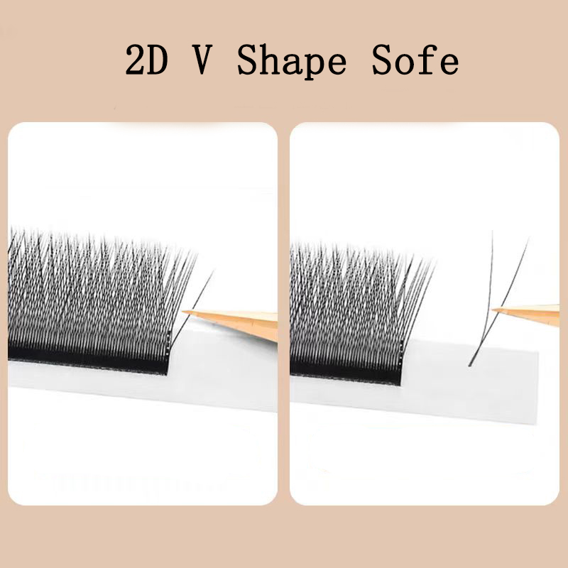 MARIA 2D Y รูปร่างขนตามือ Prem - Eyelash Extension For Asian Eyes บทวิจารณ์และราคา